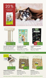 Pflanzen Kölle Prospekt woche 45 Seite 16