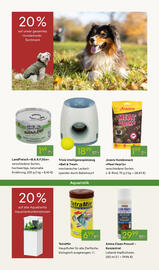 Pflanzen Kölle Prospekt woche 45 Seite 17