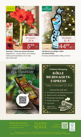 Pflanzen Kölle Prospekt woche 45 Seite 20