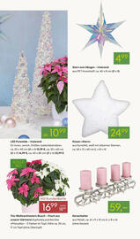 Pflanzen Kölle Prospekt woche 45 Seite 3