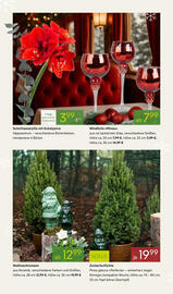 Pflanzen Kölle Prospekt woche 45 Seite 4