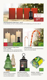 Pflanzen Kölle Prospekt woche 45 Seite 6