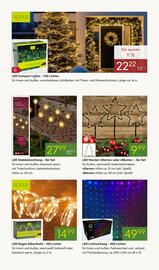 Pflanzen Kölle Prospekt woche 45 Seite 7