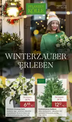 Pflanzen Kölle Prospekt (gültig bis 10-11)