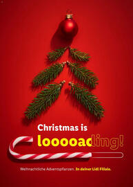 Lidl Prospekt Seite 12