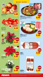 PENNY Prospekt woche 45 Seite 42