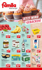 Famila Nord Ost Prospekt woche 45 Seite 1