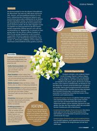 V Markt Prospekt Seite 29