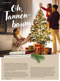 V Markt Prospekt Seite 36