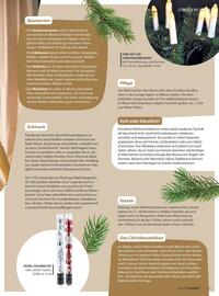 V Markt Prospekt Seite 37