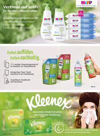 V Markt Prospekt Seite 43