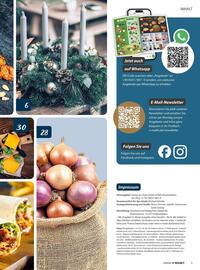 V Markt Prospekt Seite 5