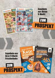 V Baumarkt Prospekt woche 45 Seite 9