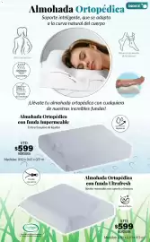 Catálogo Colchas Concord Página 199