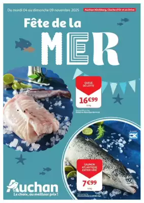 Auchan folder (geldig t/m 9-11)