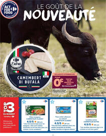 Catalogue Carrefour | Goûtez-moi ça page 8
