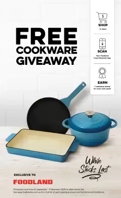 Foodland catalogue (valid until 4-11)