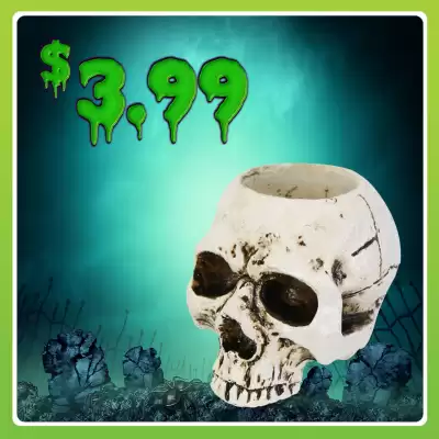 Shiploads catalogue (valid until 6-11)