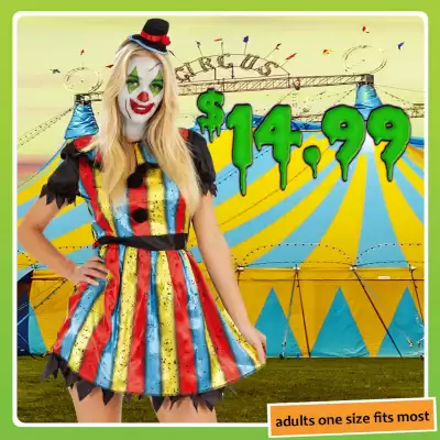 Shiploads catalogue (valid until 5-11)