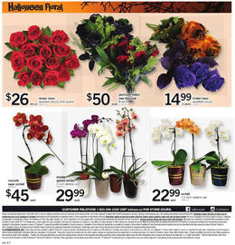 Loblaws flyer week 44 Page 9