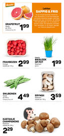 Ekoplaza folder week 45 Pagina 12