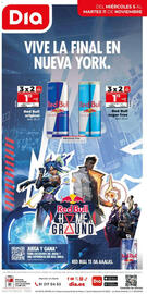 Folleto Dia semana 45 Página 12