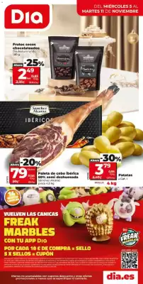 Folleto Dia (válido hasta el 11-11)