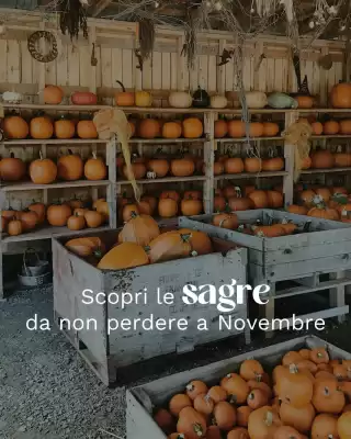 Volantino Bluvacanze (valido fino al 30-11)