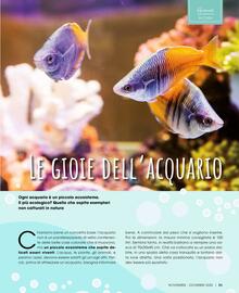 Volantino A&O | CIOCCOLTA Pagina 54