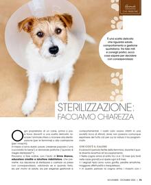 Volantino A&O | CIOCCOLTA Pagina 74