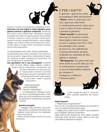 Volantino A&O | CIOCCOLTA Pagina 75