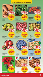 PENNY akciós újság hét 45 Oldal 2