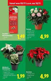 Lidl folder week 45 Pagina 21