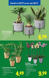 Lidl folder week 45 Pagina 58