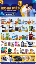 Catálogo Supermercados Avenida Página 2