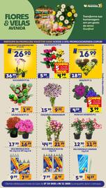 Catálogo Supermercados Avenida Página 7