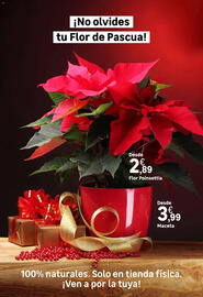 Catálogo Leroy Merlin Página 74