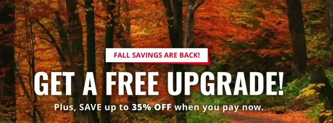 Catálogo Avis (válido hasta 16-11)