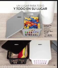 Catálogo Violetta Fabiani Página 141