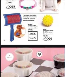 Catálogo Violetta Fabiani Página 152