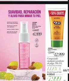 Catálogo Violetta Fabiani Página 171