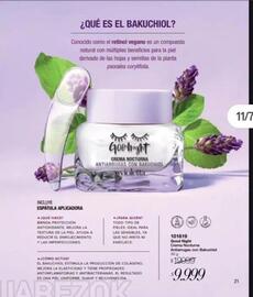 Catálogo Violetta Fabiani Página 23