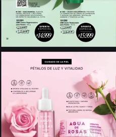 Catálogo Violetta Fabiani Página 34