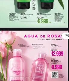 Catálogo Violetta Fabiani Página 35