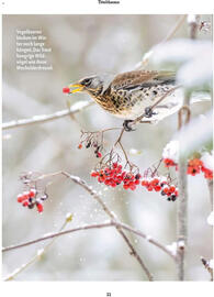 Fressnapf Flugblatt Seite 11