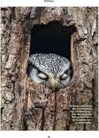 Fressnapf Flugblatt Seite 14