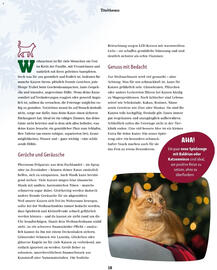 Fressnapf Flugblatt Seite 18