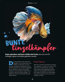 Fressnapf Flugblatt Seite 28