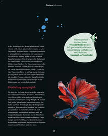 Fressnapf Flugblatt Seite 29