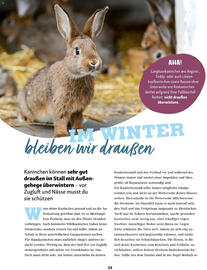 Fressnapf Flugblatt Seite 34